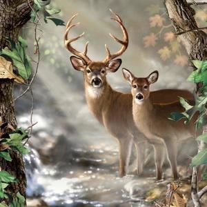 Meet your Posher, Clay