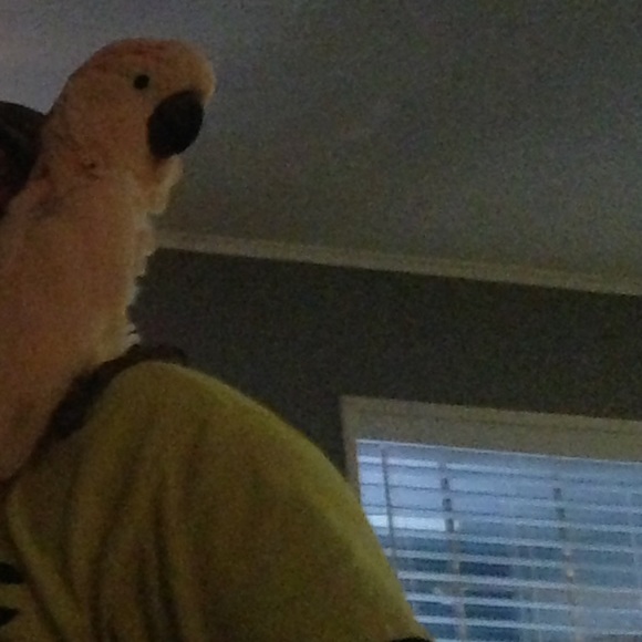 Meet your Posher, Jess