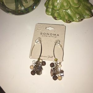 Sonoma Chunky Shell Earrings