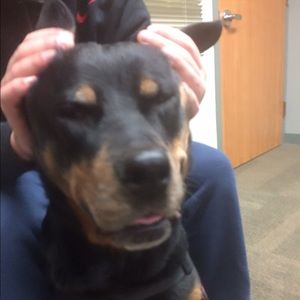 Meet your Posher, Jack