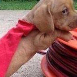 Meet your Posher, Cathy