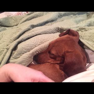 Meet your Posher, Misty