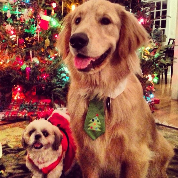 Meet your Posher, Kathryn - Picture 1 of 1