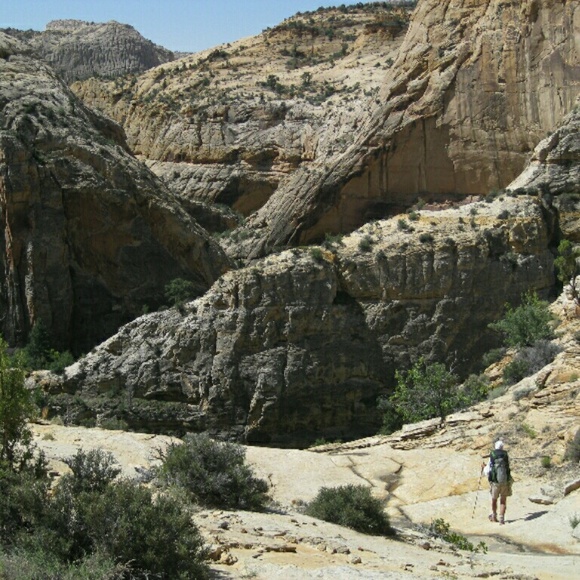 Meet your Posher, Sue