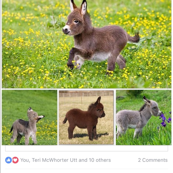 Meet your Posher, Carrie - Picture 1 of 1