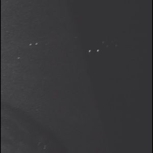 Meet your Posher, Dallas