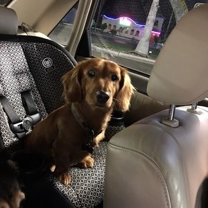 Meet your Posher, Thom