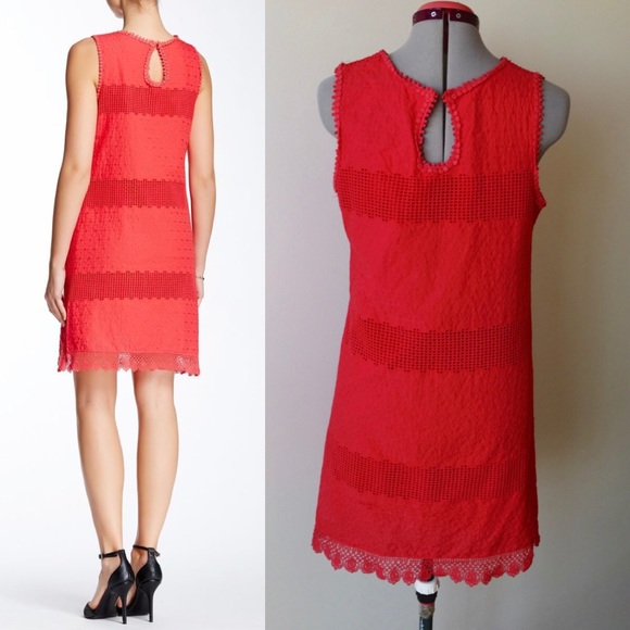 NWT Embroidered Eyelet Lace Trim Shift Dress - Picture 4 of 4