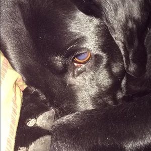 Meet your Posher, Jenna