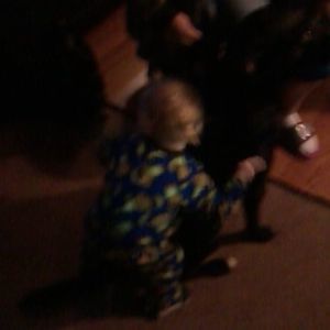 Meet your Posher, Donna