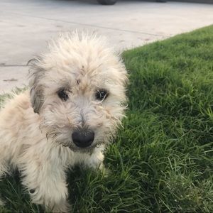 Meet your Posher, Paola