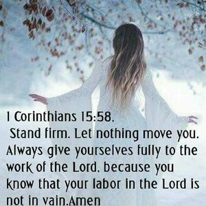 Meet your Posher, Dawn