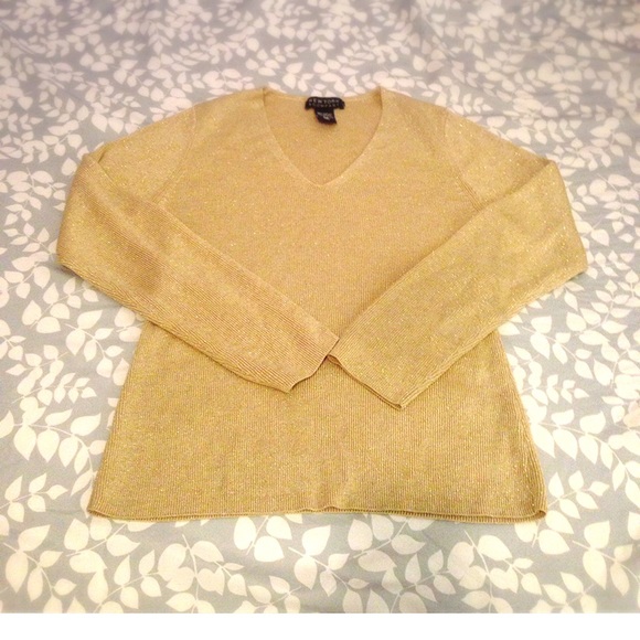 Glittery Vneck long sleeve