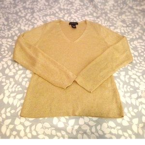 Glittery Vneck long sleeve