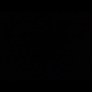 Meet your Posher, Carli