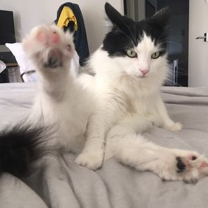 Meet your Posher, Brittany