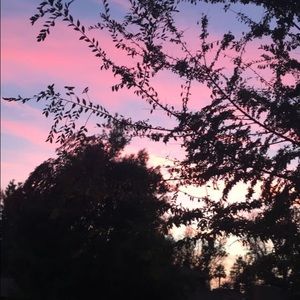 Meet your Posher, Sydney