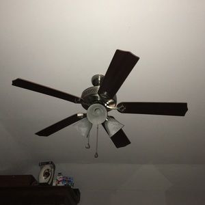 Meet your Posher, Sammy