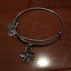 alex and ani