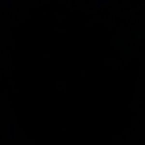 Meet your Posher, Flor