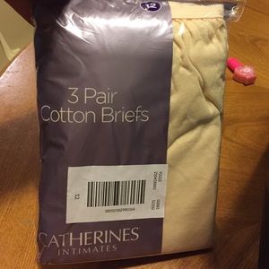 Catherines Intimates 3 Pair Briefs SZ 12 Beige