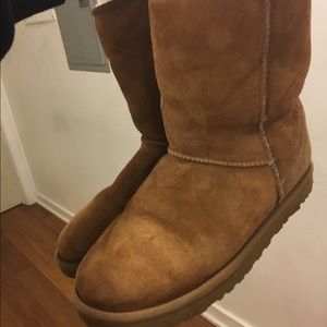 Chestnut class short Uggs