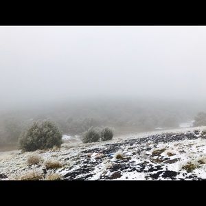 Meet your Posher, Rachelle