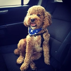 Meet your Posher, Chelsea