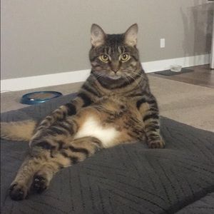 Meet your Posher, Amber