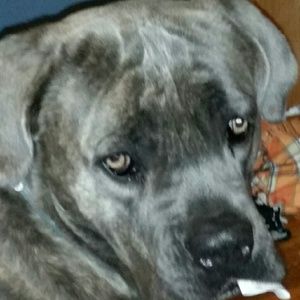 Meet your Posher, Vanessa