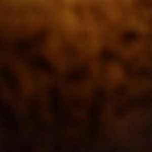 Meet your Posher, Trisha