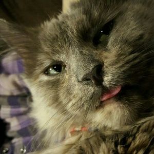 Meet your Posher, Lea