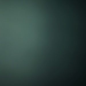 Meet your Posher, Laquan