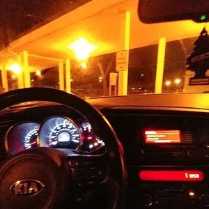 Meet your Posher, Teddy