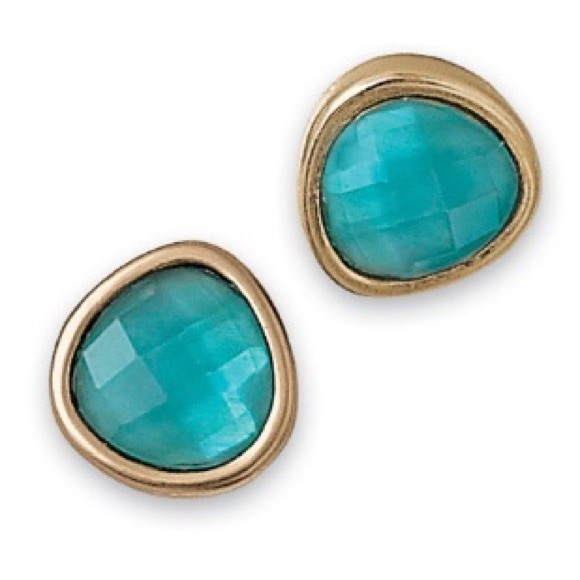 NWT lia sophia Nikki earring.