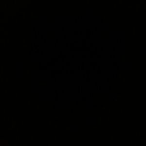 Meet your Posher, Corbin