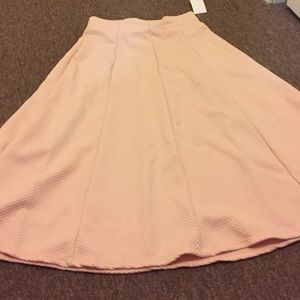 NWT blush pink circle skirt