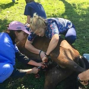 Meet your Posher, Catherine