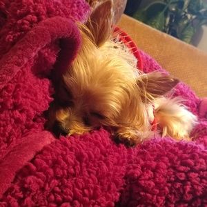 Meet your Posher, La tosha