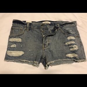 Aritzia Talula Brand Distressed Denim Short