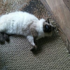 Meet your Posher, Nohemi