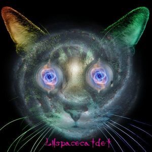 Meet your Posher, Jessi