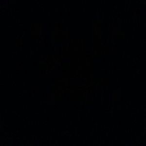 Meet your Posher, Bryant