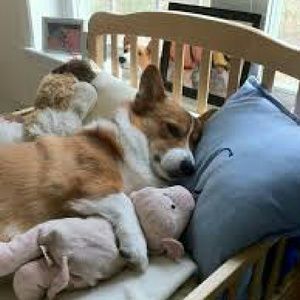 Meet your Posher, Nohelia