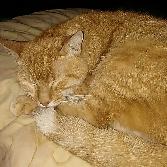 Meet your Posher, Mildred - Picture 1 of 1