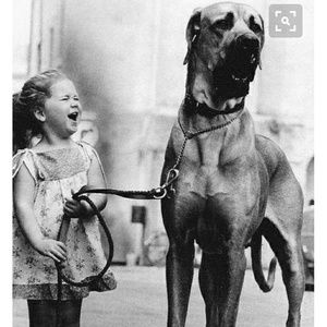 Meet your Posher, Dixie