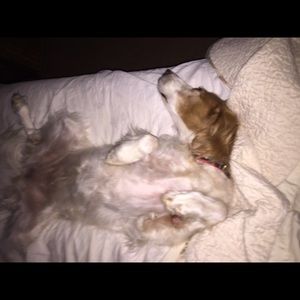 Meet your Posher, Kathryn