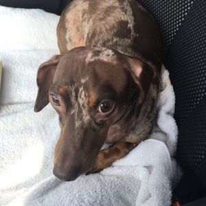 Meet your Posher, Crystal