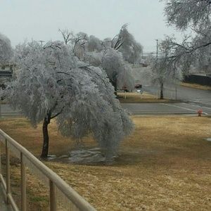 Meet your Posher, Ann