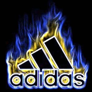 Meet your Posher, Josie